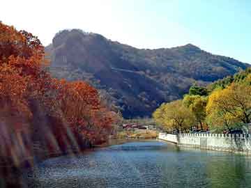 新澳天天开奖资料大全旅游团，天津期货开户